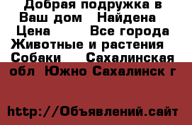 Добрая подружка,в Ваш дом!!!Найдена › Цена ­ 10 - Все города Животные и растения » Собаки   . Сахалинская обл.,Южно-Сахалинск г.